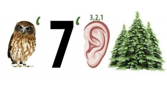 Лента прикольных картинок