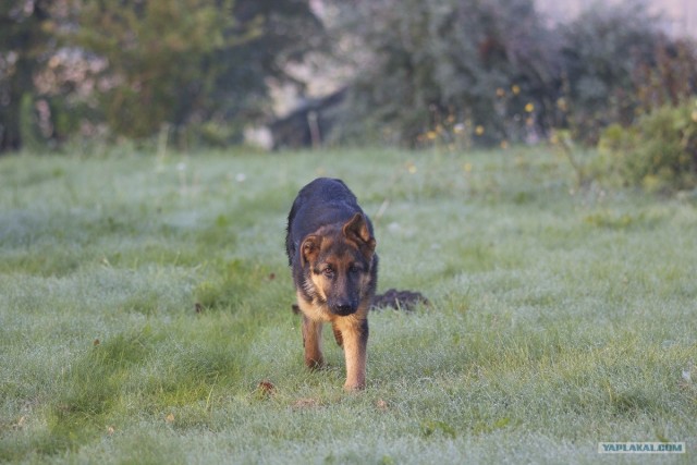 Слушаю вас внимательно!
