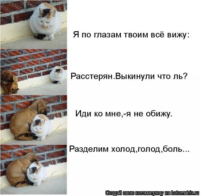 Иногда нам стоит учиться у них