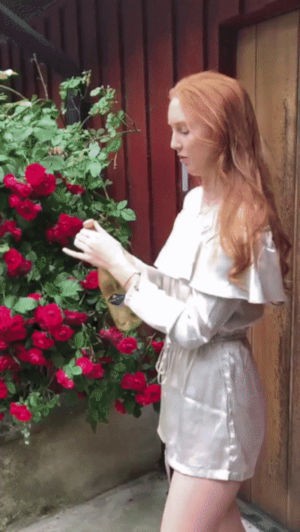 Брызги шампанского