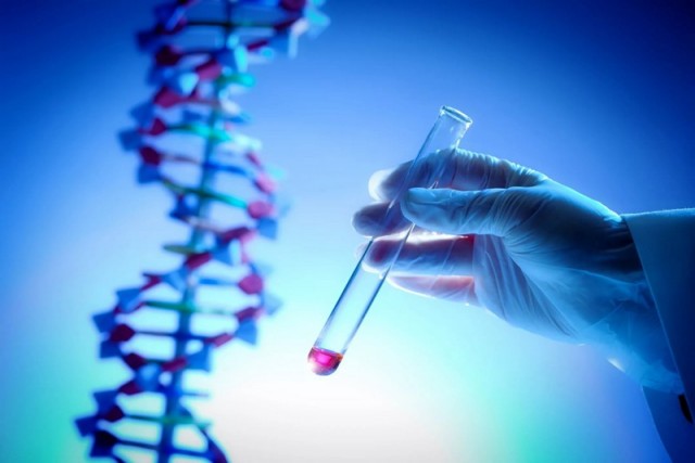 Интересные факты о ДНК и её значении в жизни человека