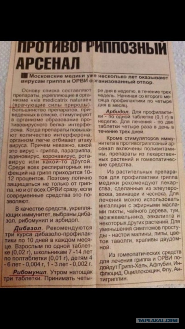 Школьный курс биологии, или что такое бактерия и вирус?