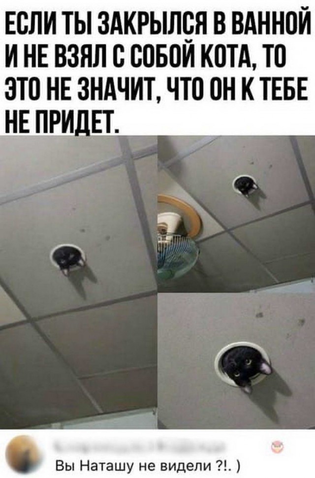 Веселые истории о нас 157