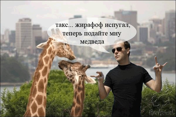 Медведев в образе