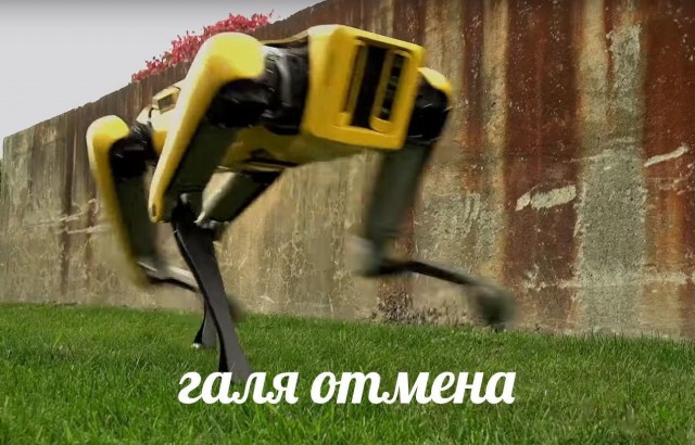 Заработала первая «Пятёрочка» без живого персонала