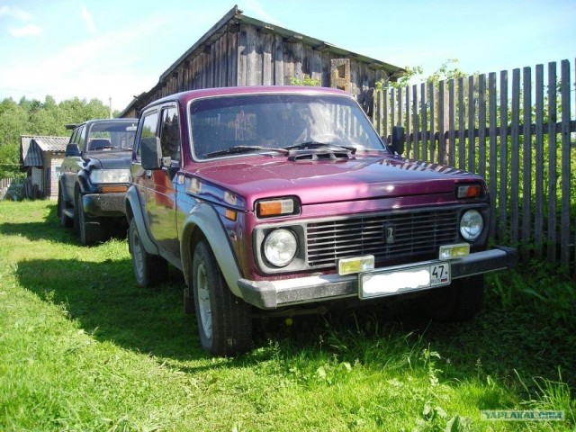 Спринт Триал "Беркут"