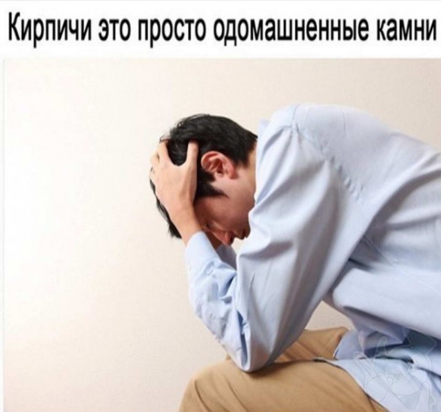 Картинки и мемы для настроения 09.08.2021