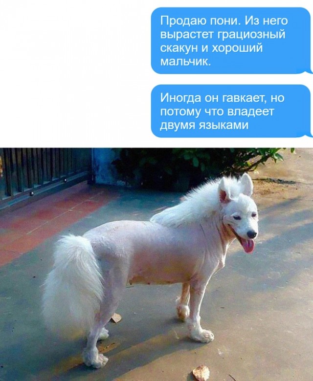 Картинки и мемы для настроения 21.12.21
