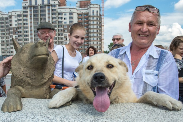Умер самый известный амурский пёс - Дружок.