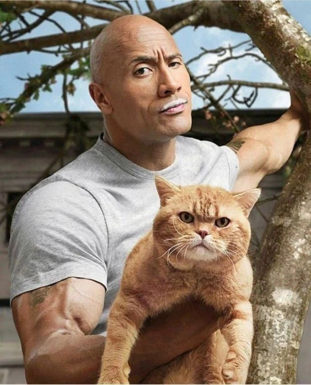 Котовторниковское