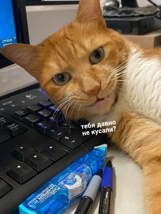 Ну всё, месть будет жестокой!