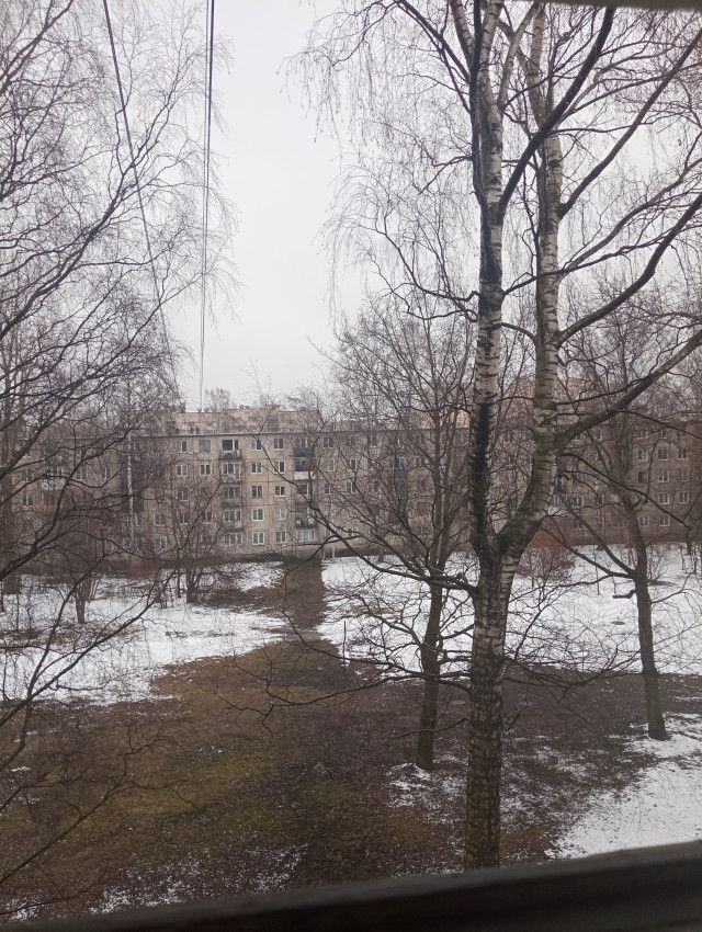 Фотки с телефона.