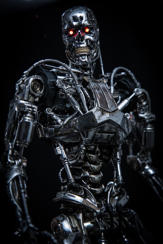 Т-800 и СИБЗ