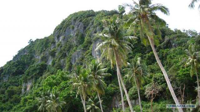 Такой разный остров Самуи