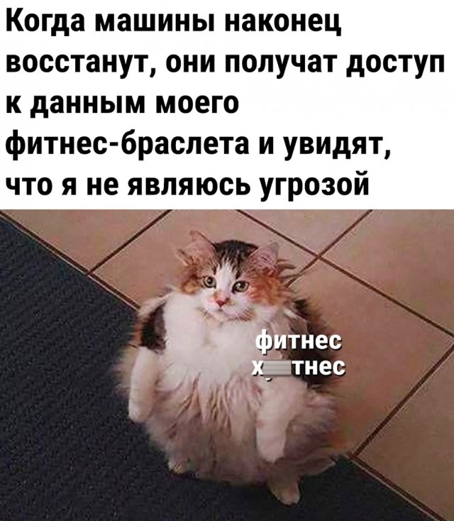 Так себе картинки 30.07.22