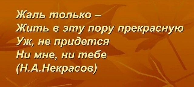 Евросоюз начал готовиться к первой зимовке без российского газа