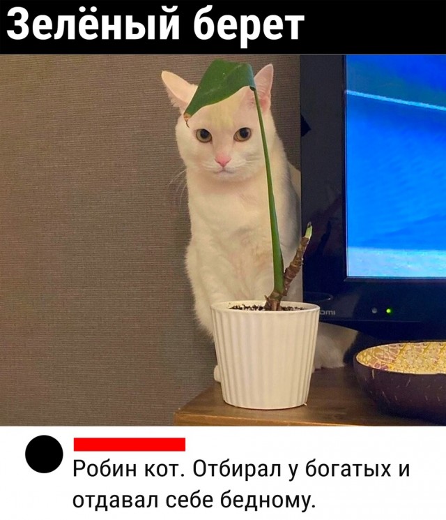 Так себе картинки 02.08.22