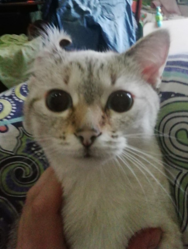 Приехал с работы домой, а тут...вот