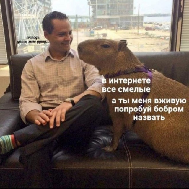 Картинки и мемы для настроения - 009