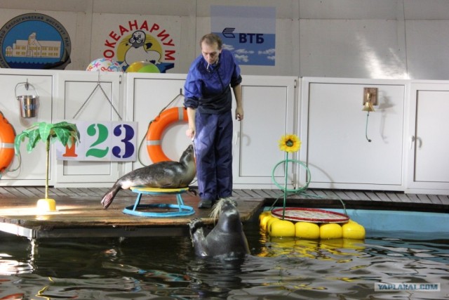 Мурманск глазами карелов