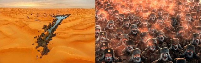 Удивительные фотографии, вызывающие интерес к окружающему миру