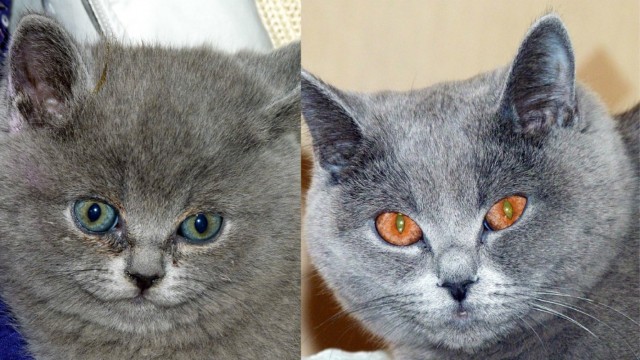 Было - стало