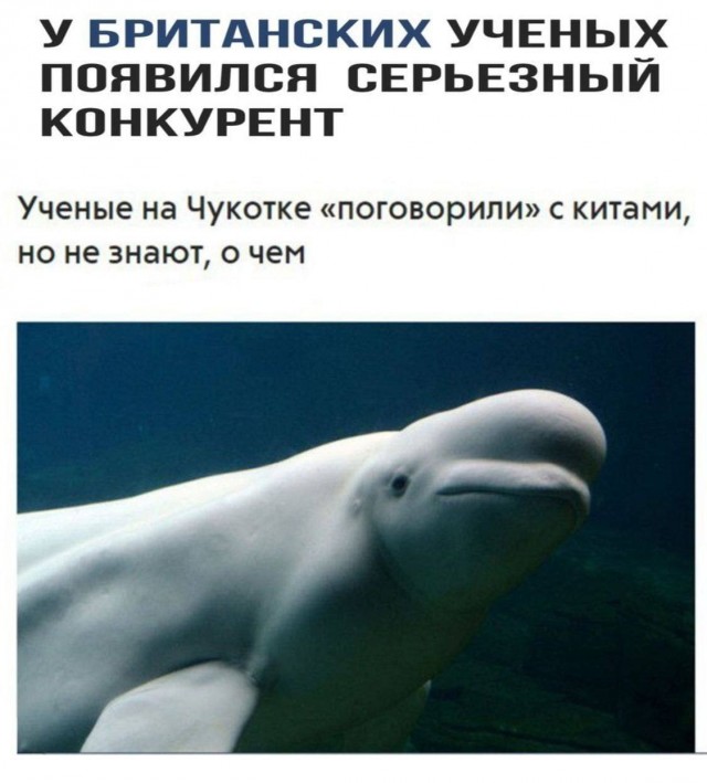 Наконец то Российская наука занялась делом