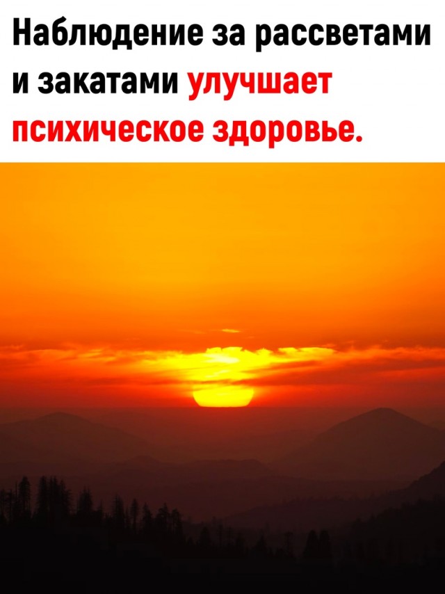 Так себе картинки 26.01.23