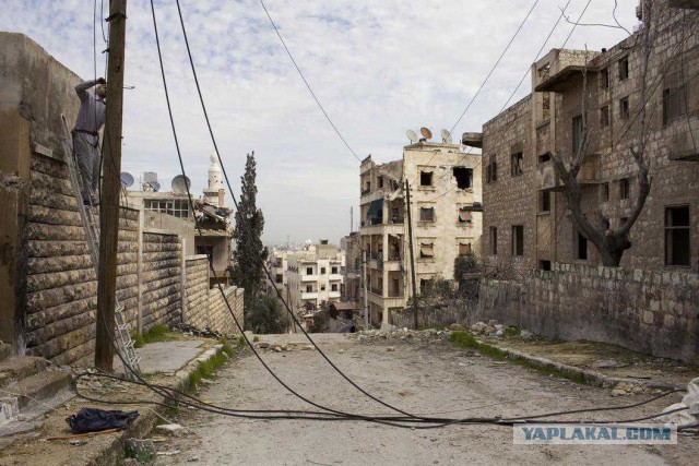 Есть ли жизнь в Алеппо?