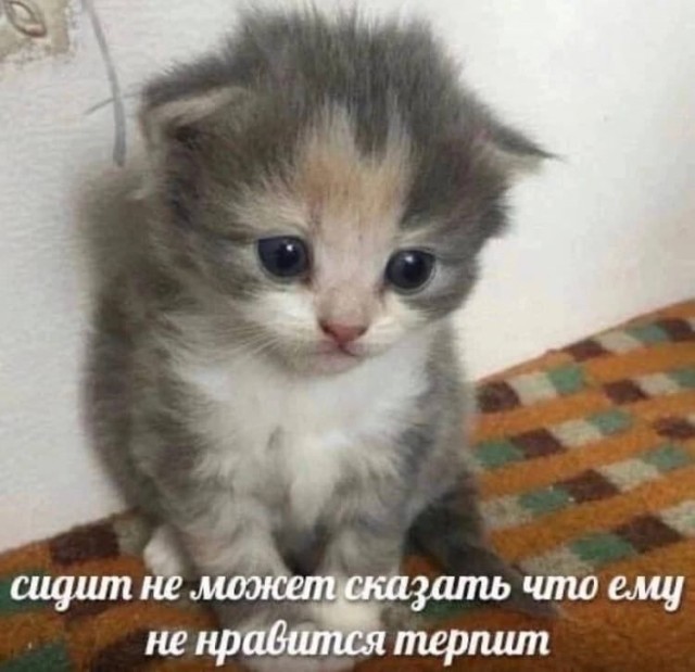 Всего понемногу. От 17.04.23