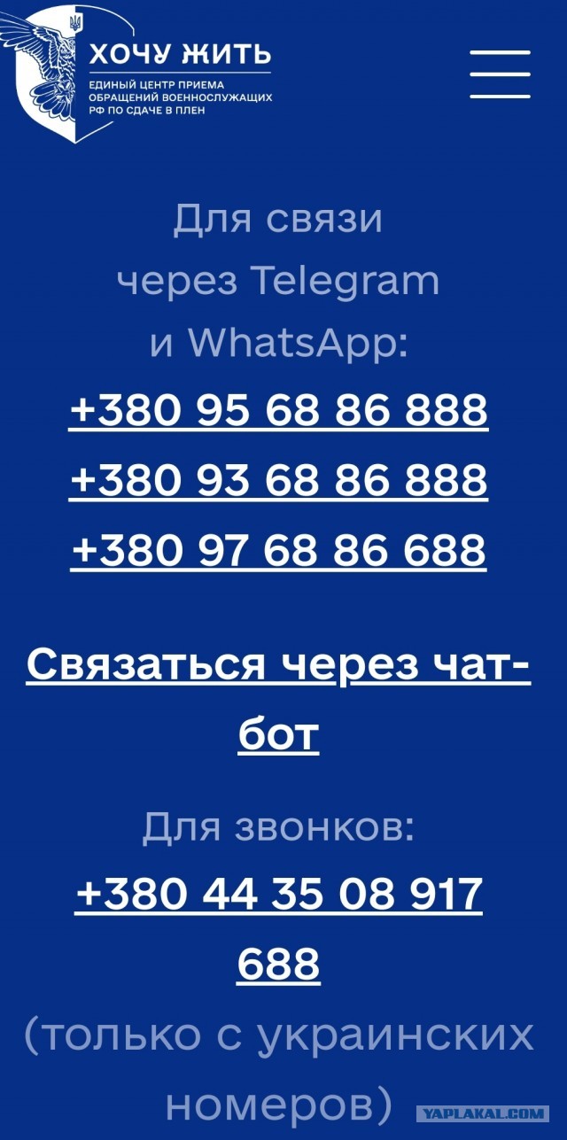 Семь бывших заключенных сбежали из воинской части в ДНР
