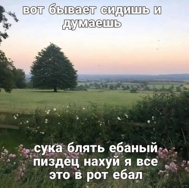 Так себе картинки 27.08.23