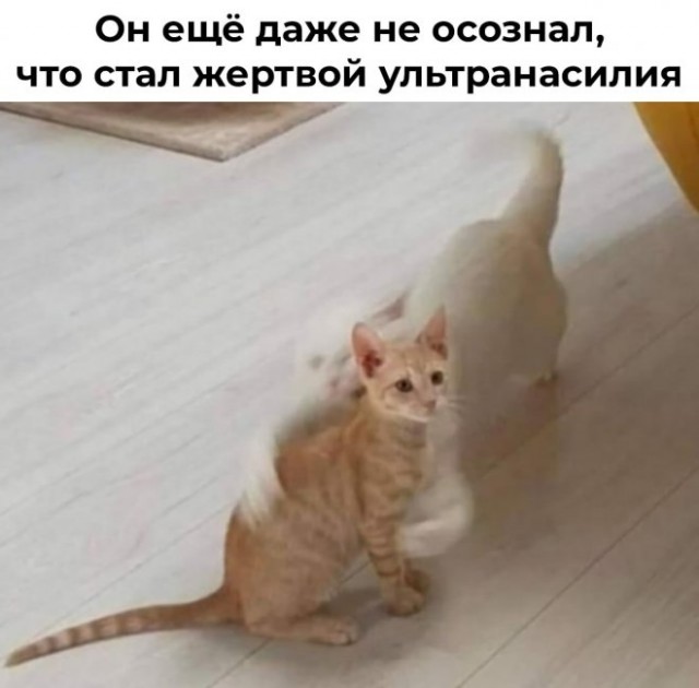 Улыбательные картинки для настроения