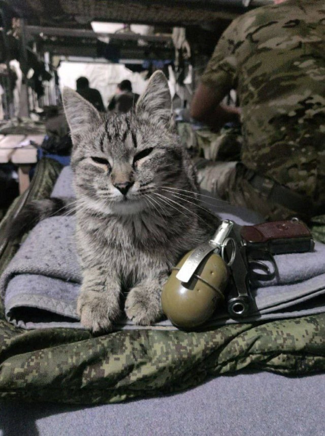 Маркиз нашёл новый дом!