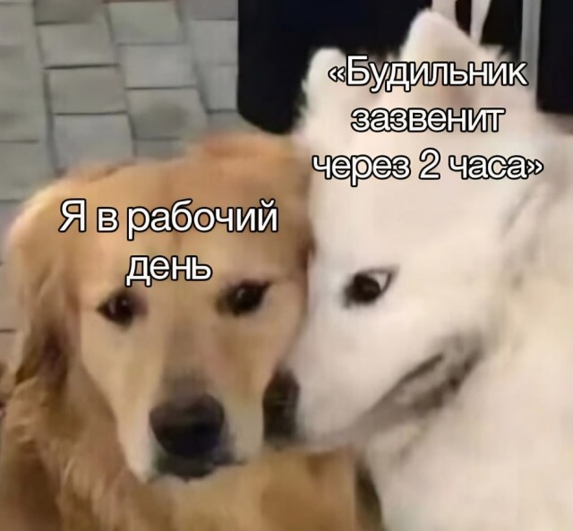 Доставка баянов