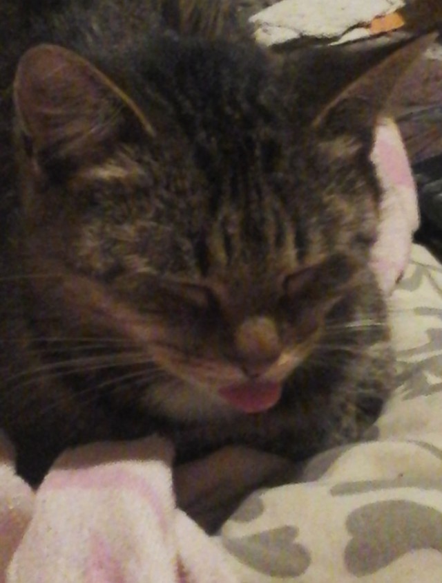 Сборник рассказов ЯПовских авторов. Обсуждение проблемы.