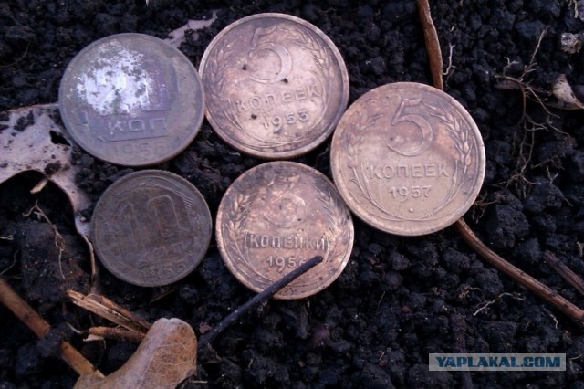 Находки в обычном парке