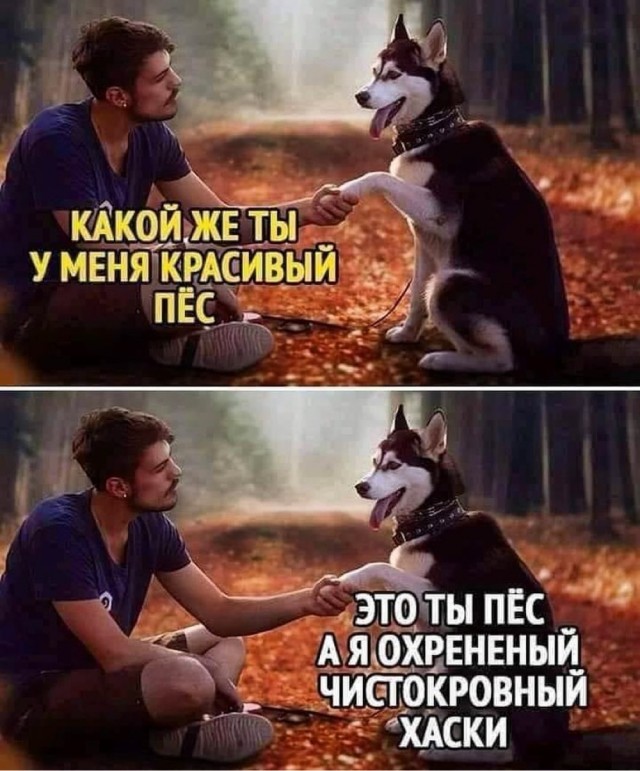 Отряд быстрого деградирования