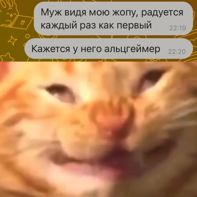 Весёлый полтишок 29.08.24