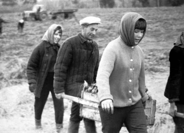 Такую подпись фиг подделаешь