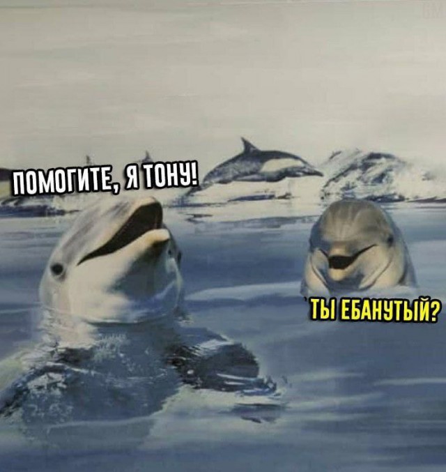 Завалялось тут случайно немного забавных картинок