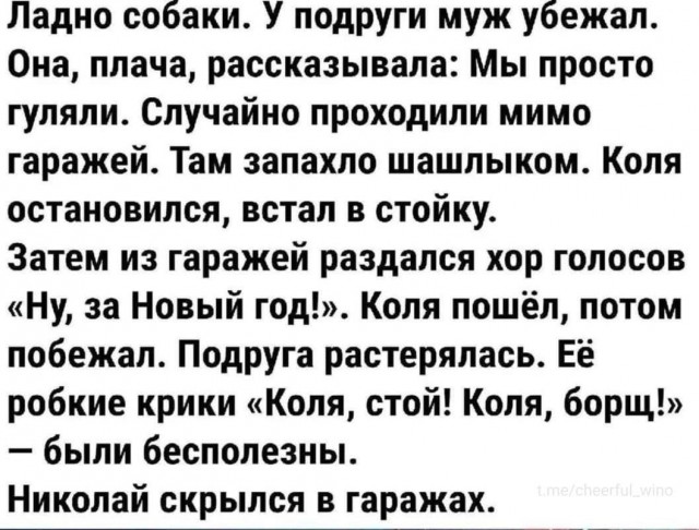 Баяны: август 2023 г - декабрь 2023 г
