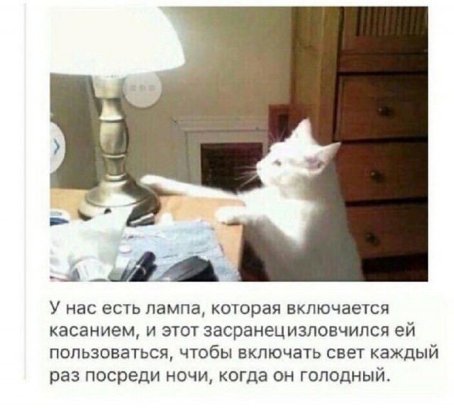 Так себе картинки 20.07.25