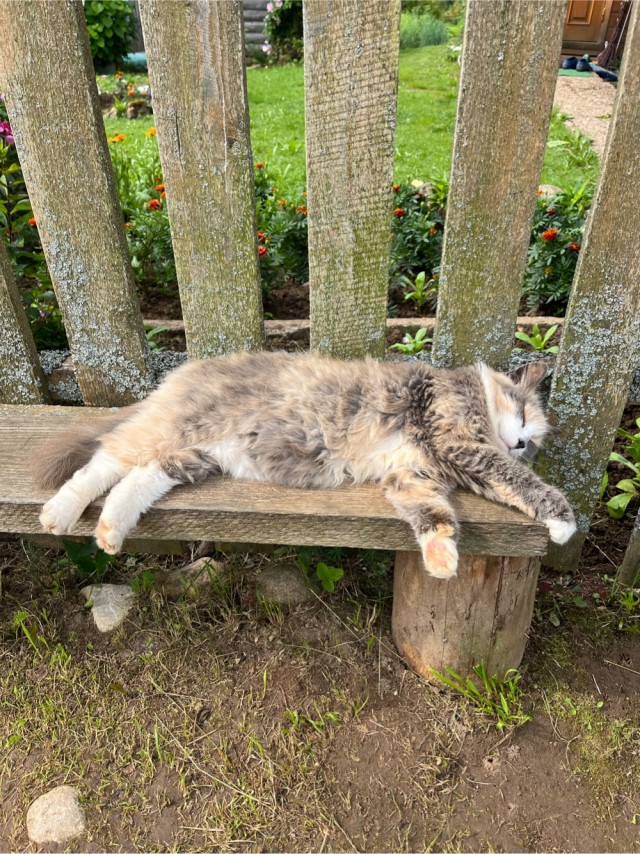 Сиеста Дюши