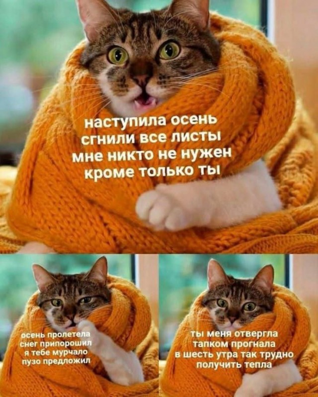 Картинки для деградации 45 (разной степени свежести)