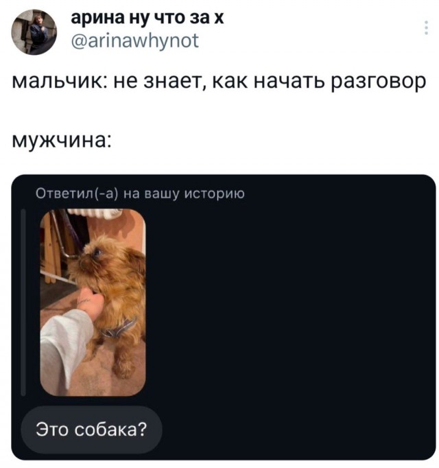 Картинки для деградации 57 (разной степени свежести)