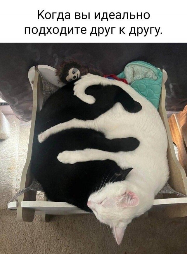 Еще только вторник …