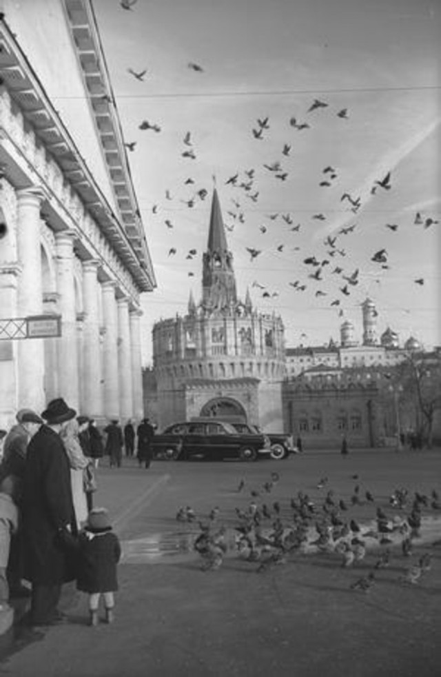Повседневная жизнь Москвы 1950-х годов