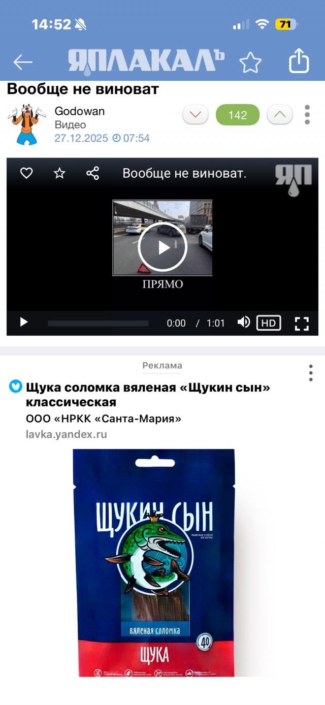 Вообще не виноват