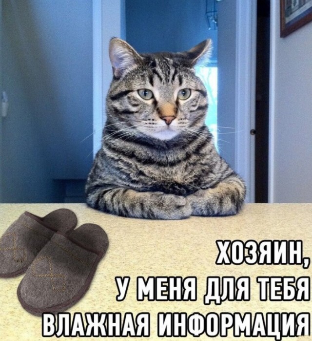 За секунду до...
